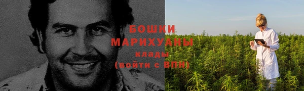 Альфа ПВП Новозыбков