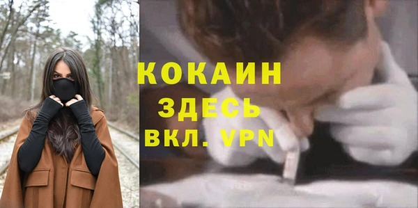 Альфа ПВП Новозыбков