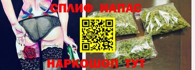 индика Беслан