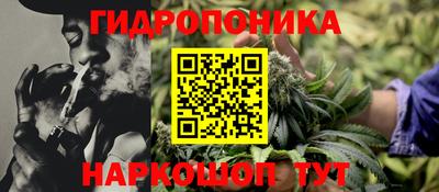 индика Беслан