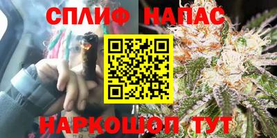 мяу мяу мука Бийск