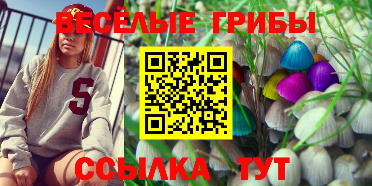 Новокузнецк  Галлюциногенные грибы MAGIC MUSHROOMS  Вход с VPN 