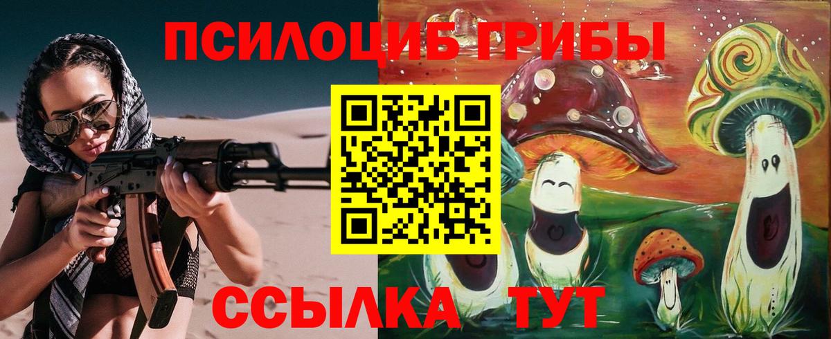Галлюциногенные грибы Magic Shrooms Новокузнецк