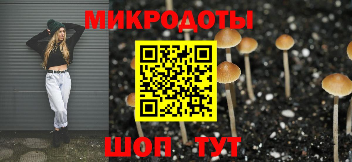 магазин продажи наркотиков  Новокузнецк  Псилоцибиновые грибы мицелий 
